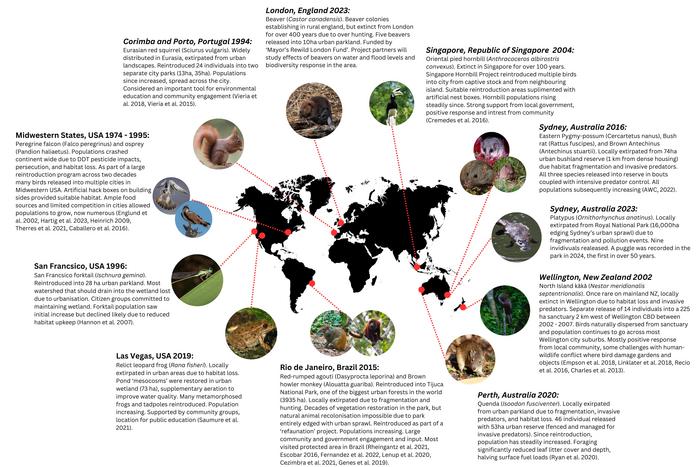 Urban rewilding around the world