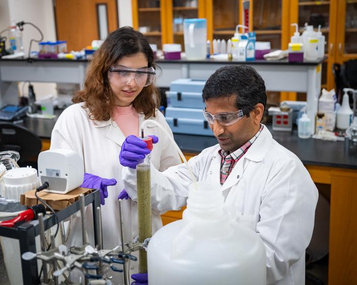 Prathap Parameswaran research