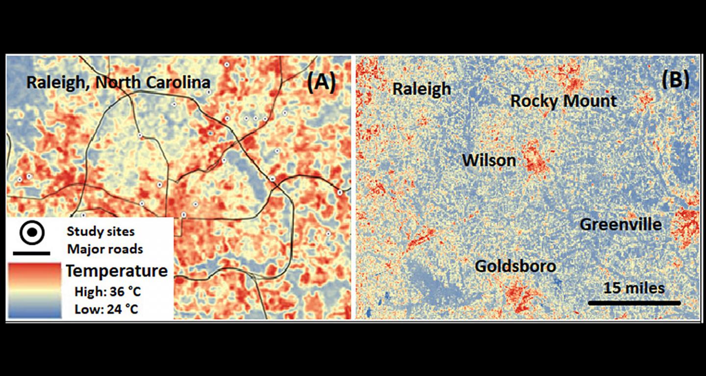 Cities Can Serve as Study Proxies for Climate Change