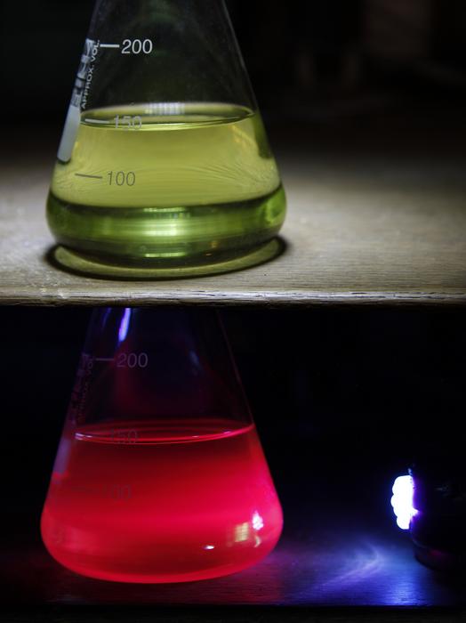 Fluorescence of chlorophyll under UV light