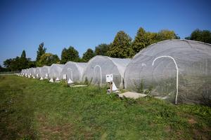 Research Facility