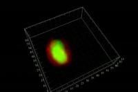 Rotating Breast Cells form Acinus
