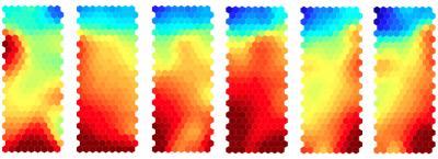 Heat Maps Showing Gene Expression Changes