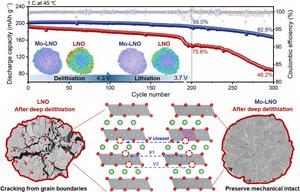 Strengthening grain boundaries with high-valence Mo6+ doping to assist in deep delithiation of LNO cathodes.