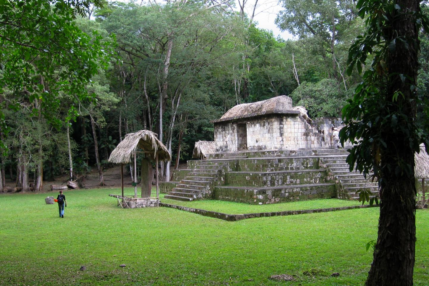 Mayan Dog Image 1