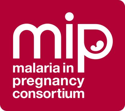 MiP Logo