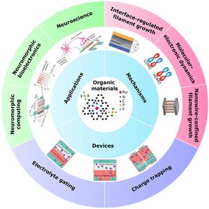 Multifunctional Organic Materials, Devices, and Mechanisms for Neuroscience, Neuromorphic Computing, and Bioelectronics