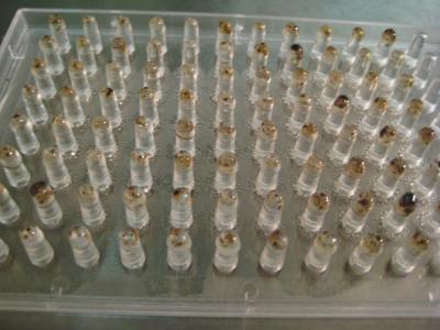 Researchers Develop New Method of Cleaning Toxins From the Oilsands