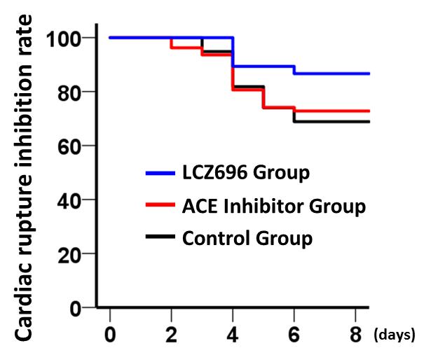 Survival Curve