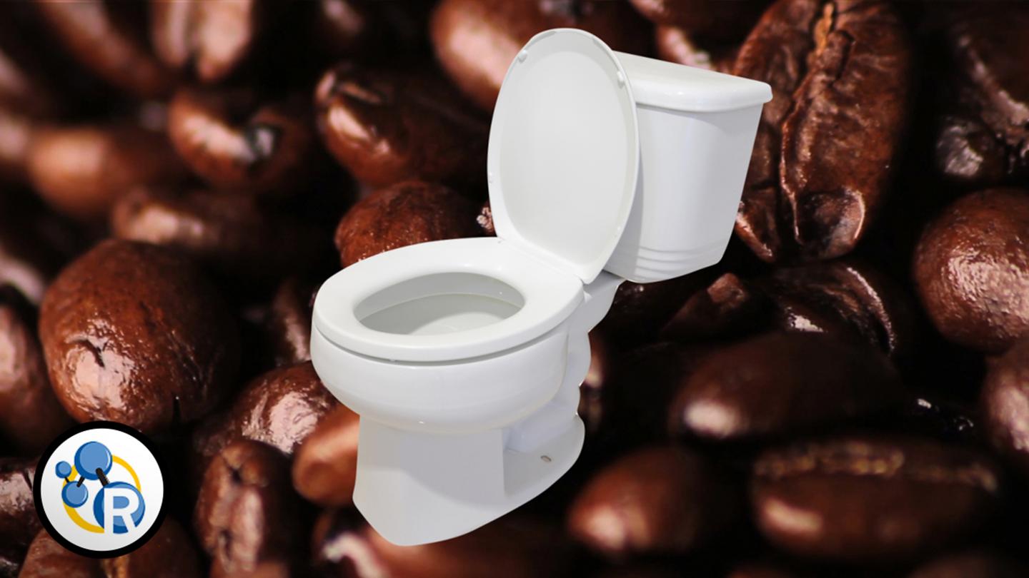 Why Does Coffee Make You...'Go'? (Video)