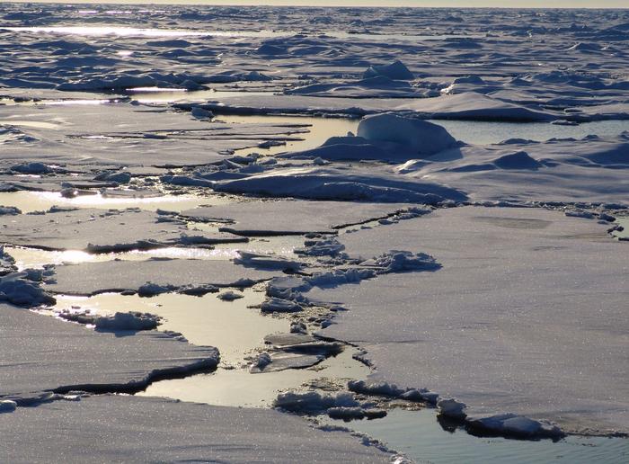 Ice floes