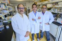 Ahmed lab team