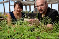  Katherine Chang and Joseph R. Ecker, Salk Institute for Biological Studies