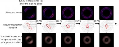 Quantum Wave-Like Nature of Ultrafast Rotating Nitrogen Molecules