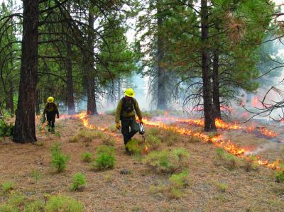 Prescribed Burn in US