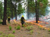 Prescribed Burn in US