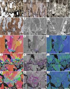 SEUs of the highly porous dinosaur eggshells