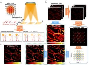 Figure 2 | DPA-PR reconstruction process and results.