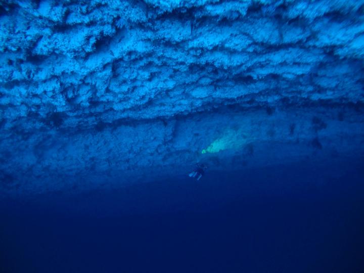 Deep Diver