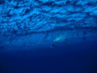 Deep Diver