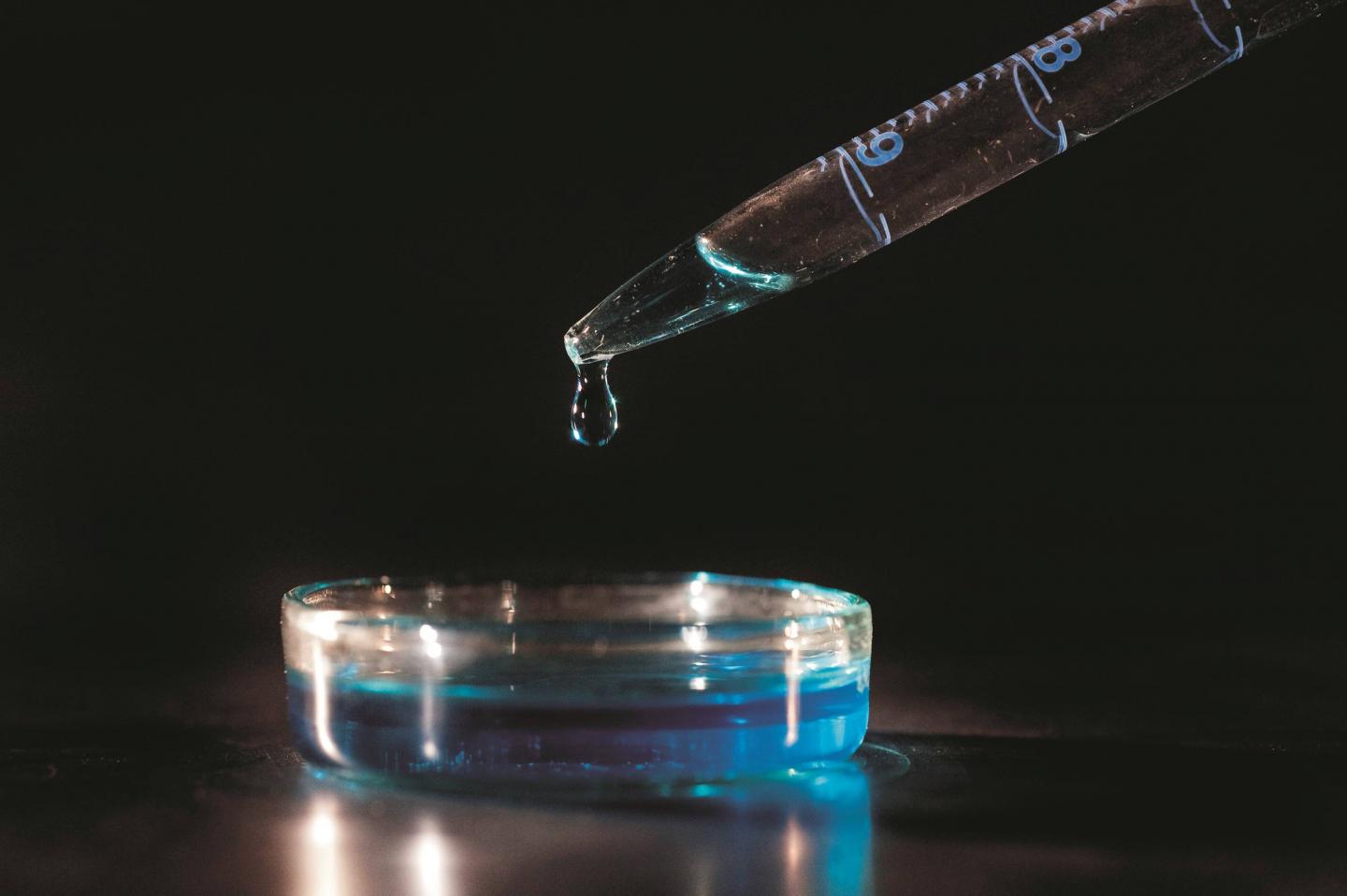 Petri Dish