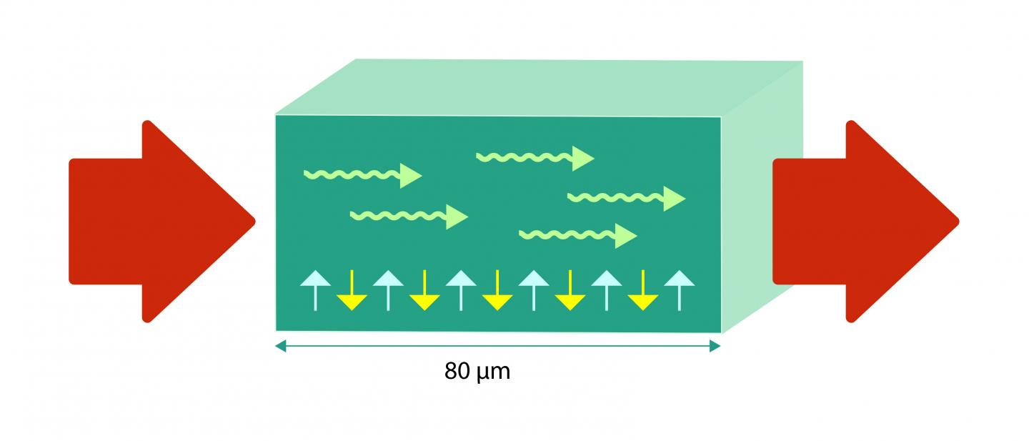 Spin Currents and Antiferromagnets