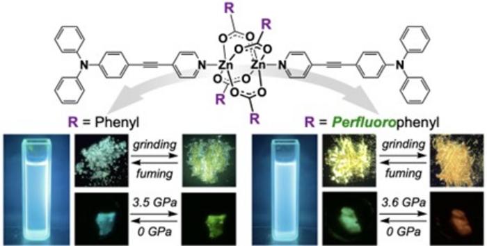 Dumbbell-shaped Zn(II) complexes with extended triphenylamine-attached ethynylpyridine terminals