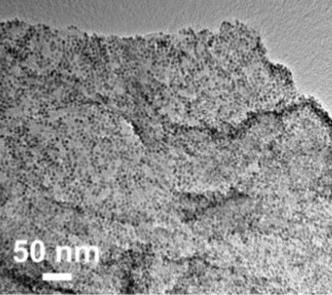 Composite Catalyst