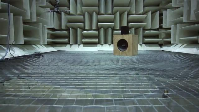 Ron Miles and the Anechoic Chambers
