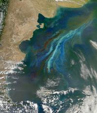 Patagonia Modis