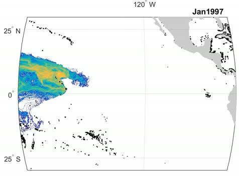 Modeling of Larval Paths
