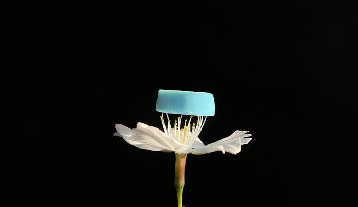 Porous Nanofibrils Spun from Supramolecules with Intrinsic Cavities