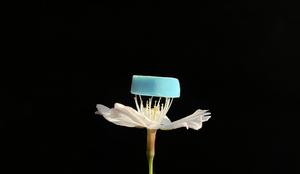 Porous Nanofibrils Spun from Supramolecules with Intrinsic Cavities