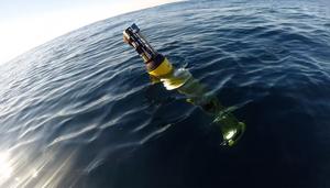 A robotic biogeochemical Argo float deployed in Monterey Bay as part of the Global Ocean Biogeochemistry Array led by MBARI