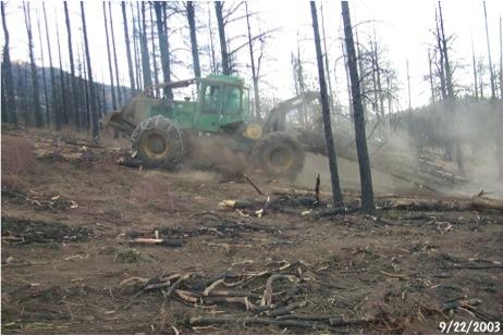 Skidder