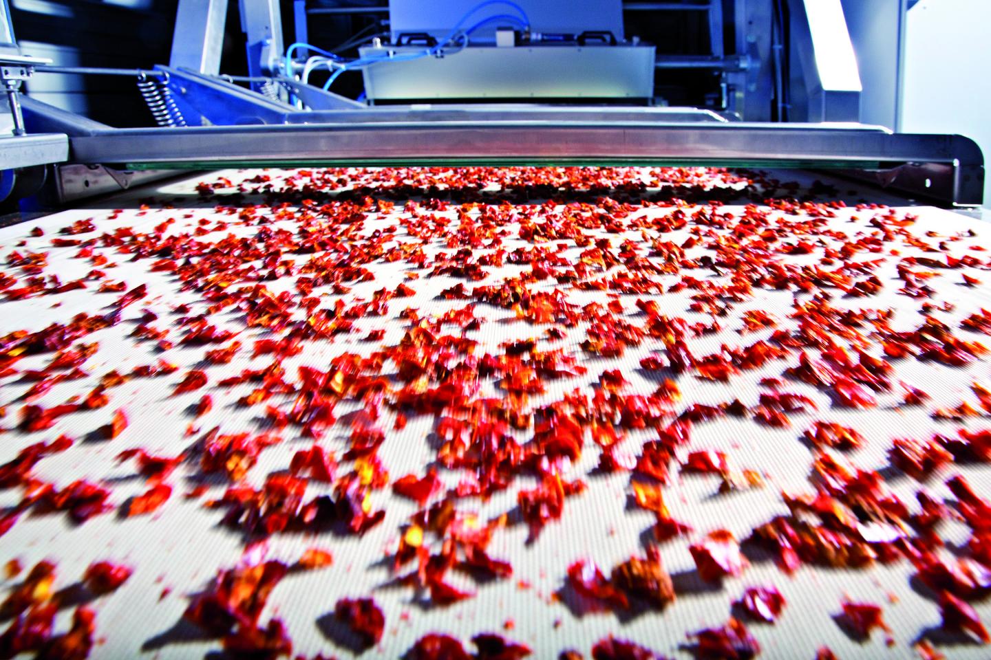 Properly Sorted: More Intelligence to Bulk Material Plants
