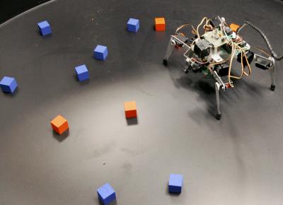 Sporns Robot 2