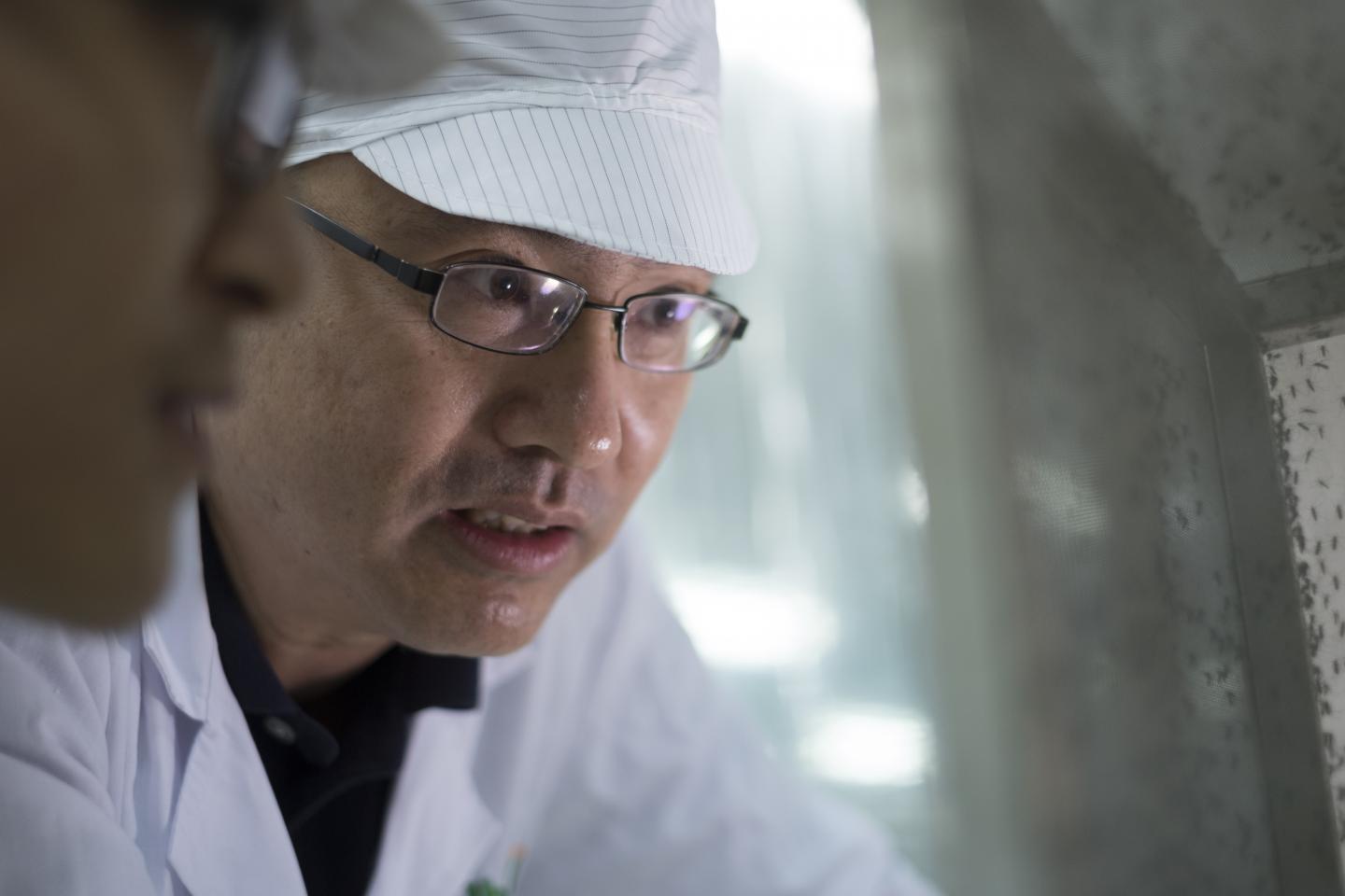 Zhiyong Xi, Michigan State University