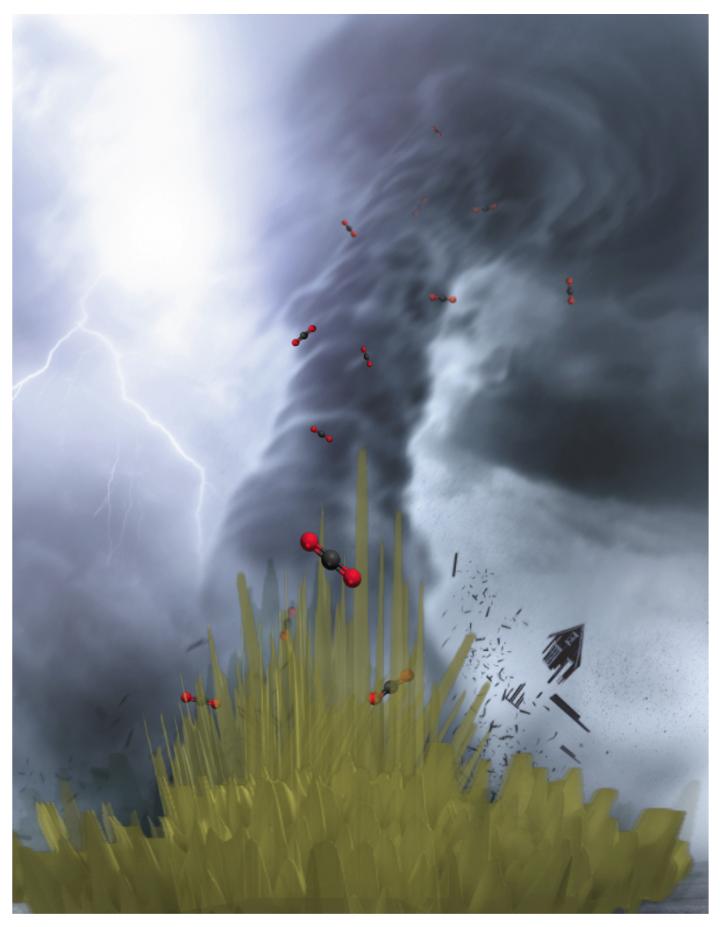 Gold Nanoneedle Lightening Rods Concentrate CO2 for Reaction
