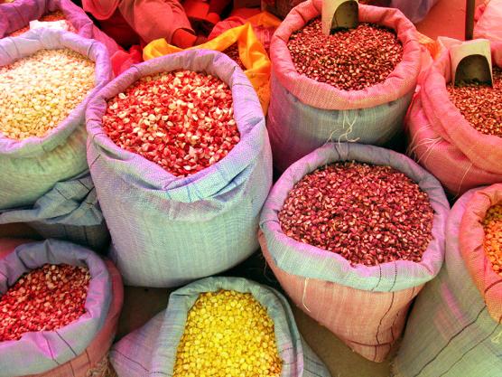 Maize Landraces