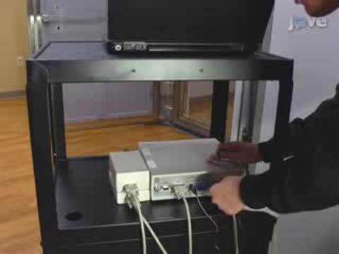 How to Detect Amygdala Activity with Magnetoencephalography Using Source Imaging
