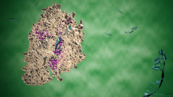 Searching for the CRISPR Swiss-army Knife (2 of 2)