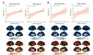 Brain Network Predictors of Depression Improvement After Antidepressant Treatment