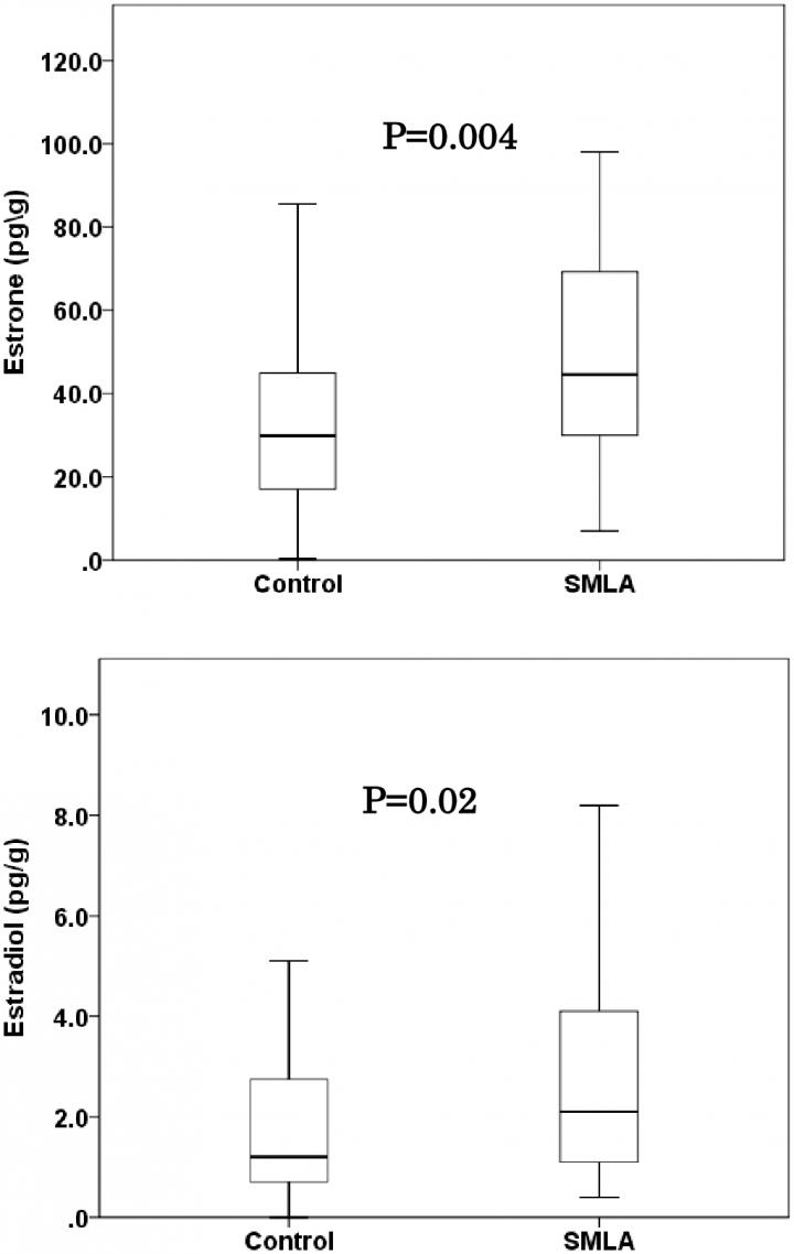 Esterone and Estradiol Tissue Concentrations