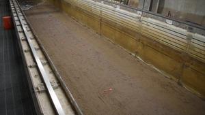 Understanding fossils