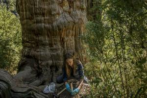 Mapping underground fungal networks
