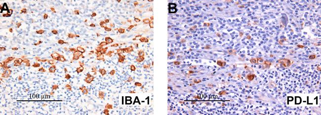 Figure 3: