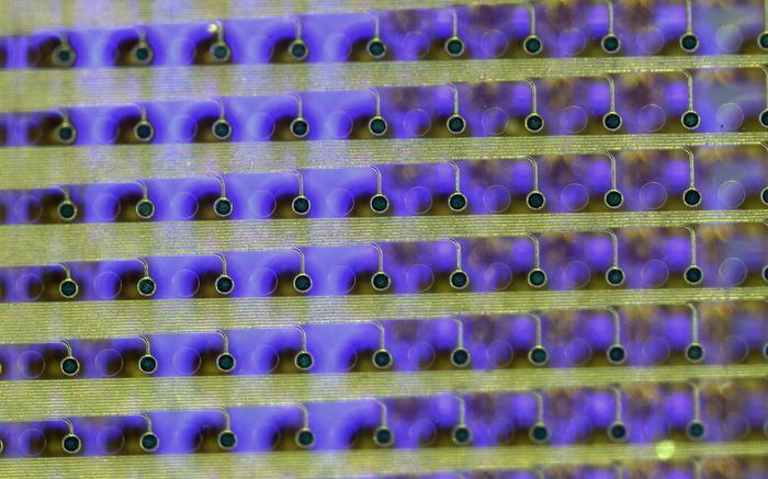 LEDs in the display