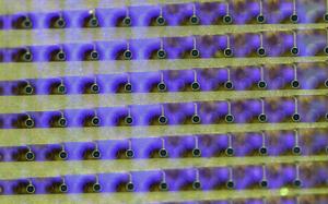 LEDs in the display