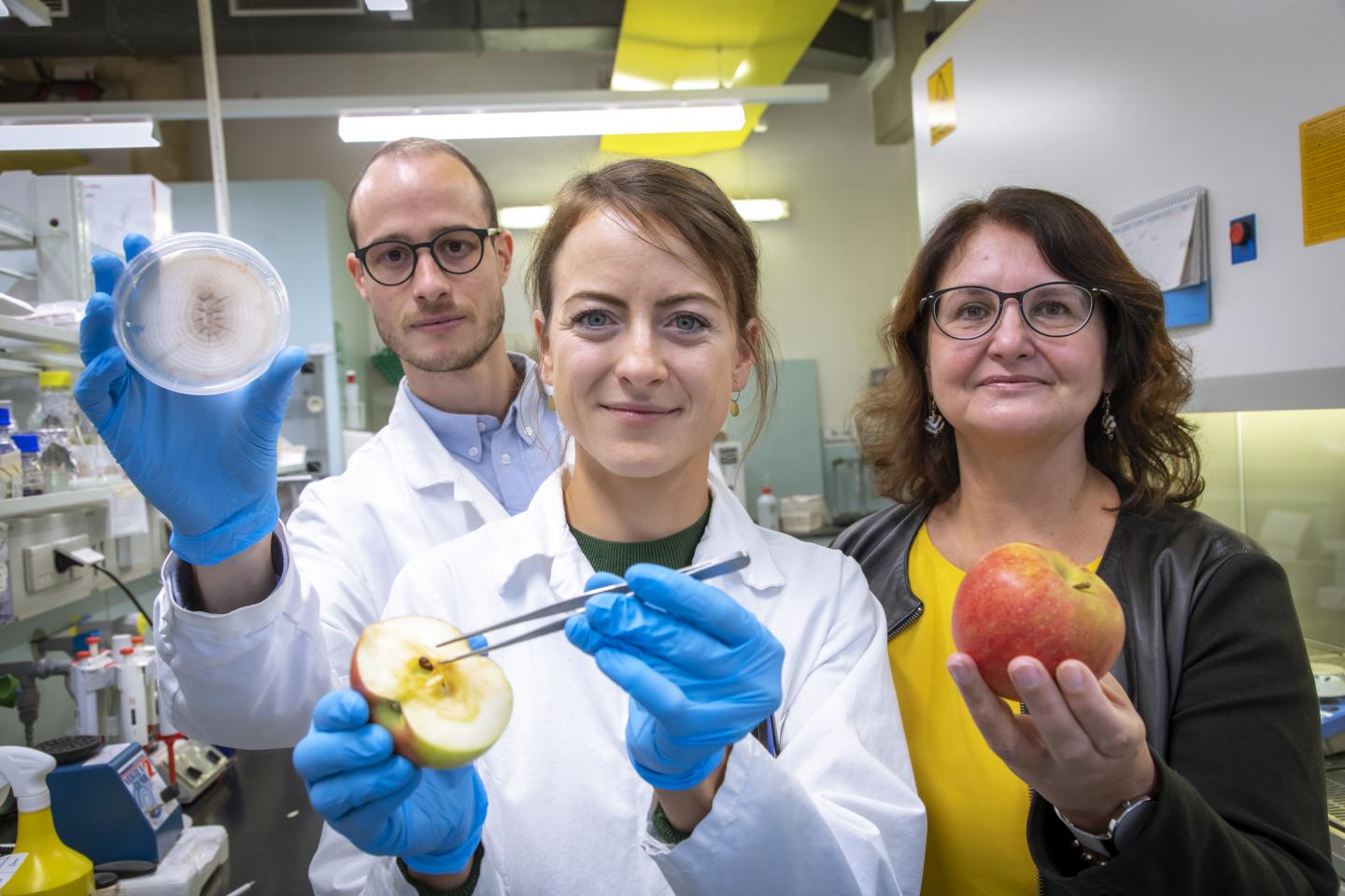 Minimizing Post-Harvest Food Losses